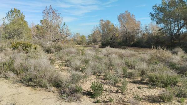 Terreno en Desamparados-Hurchillo-Torremendo