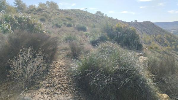Terreno en Desamparados-Hurchillo-Torremendo