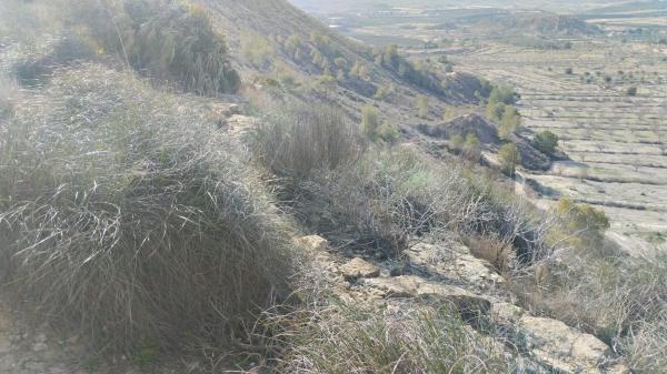 Terreno en Desamparados-Hurchillo-Torremendo