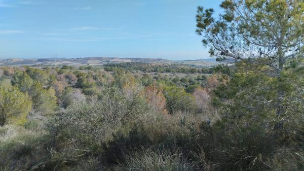 Terreno en Desamparados-Hurchillo-Torremendo