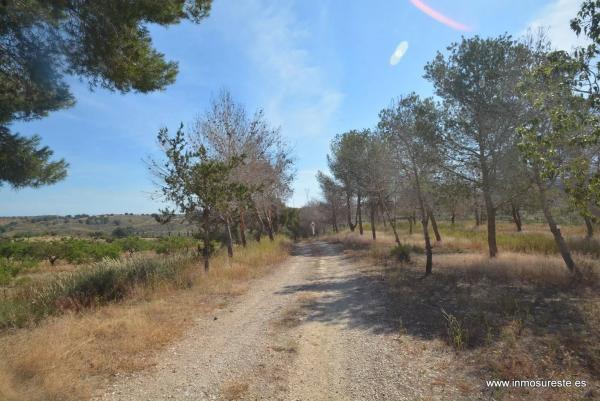 Terreno en Desamparados-Hurchillo-Torremendo