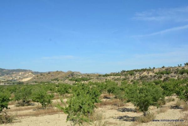 Terreno en Desamparados-Hurchillo-Torremendo