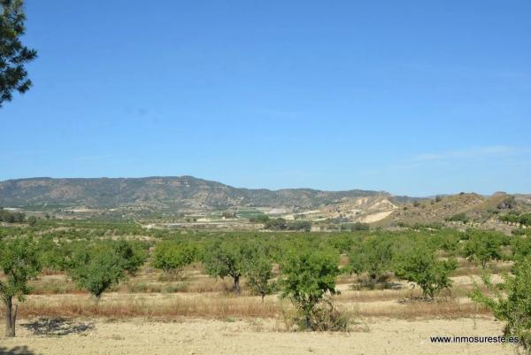 Terreno en Desamparados-Hurchillo-Torremendo