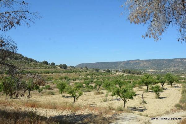 Terreno en Desamparados-Hurchillo-Torremendo