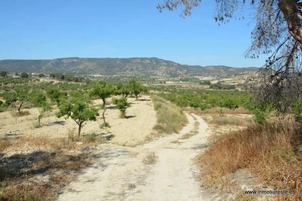 Terreno en Desamparados-Hurchillo-Torremendo