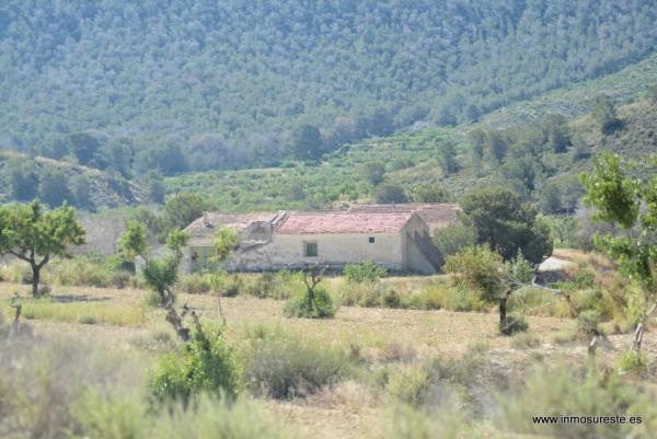Terreno en Desamparados-Hurchillo-Torremendo
