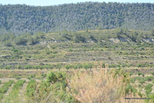 Terreno en Desamparados-Hurchillo-Torremendo