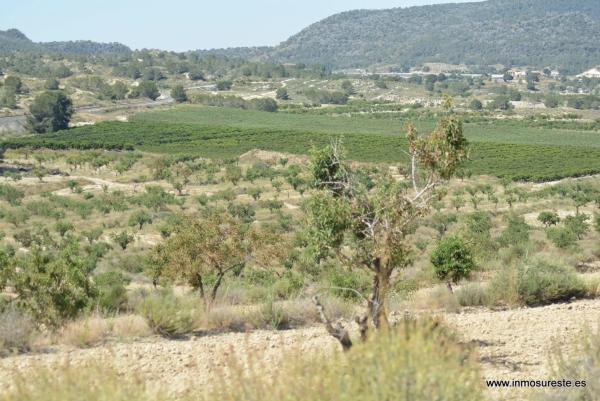 Terreno en Desamparados-Hurchillo-Torremendo