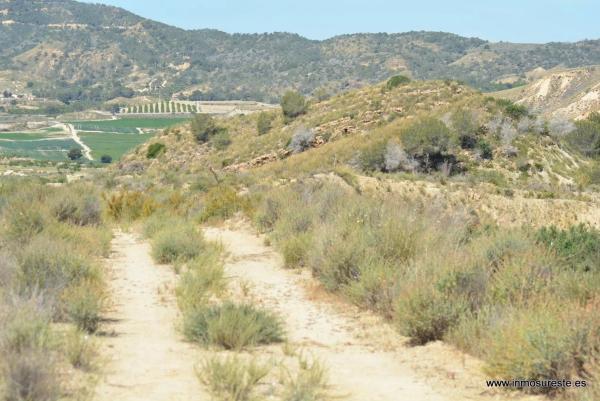 Terreno en Desamparados-Hurchillo-Torremendo