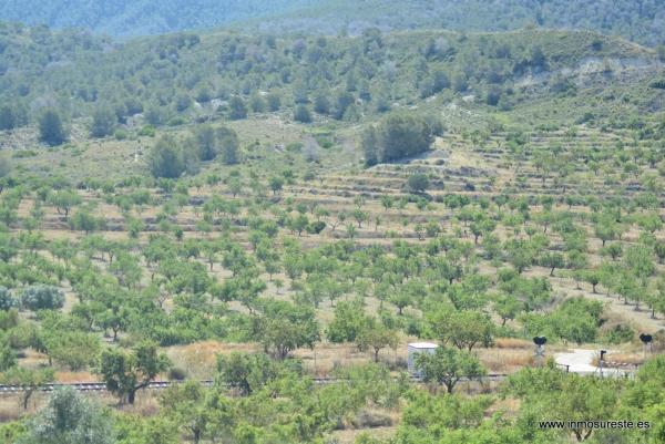 Terreno en Desamparados-Hurchillo-Torremendo