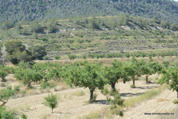 Terreno en Desamparados-Hurchillo-Torremendo