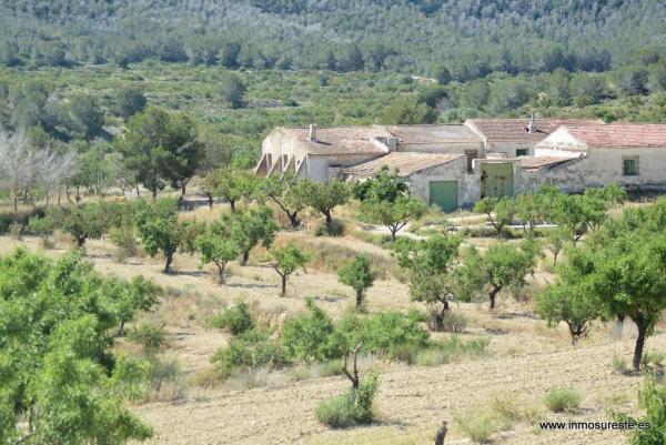 Terreno en Desamparados-Hurchillo-Torremendo