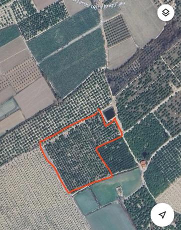 Terreno en vereda Don Fernando s/n