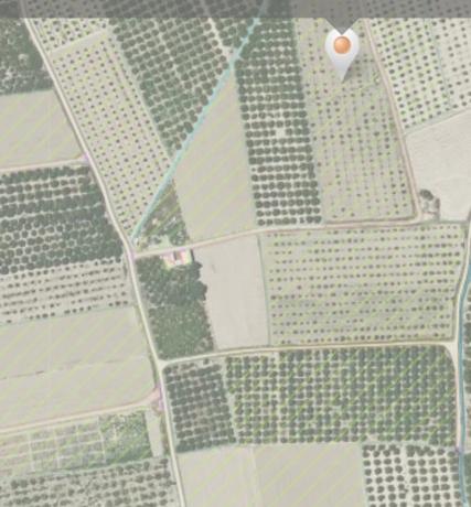 Terreno en vereda Guardalacapa s/n