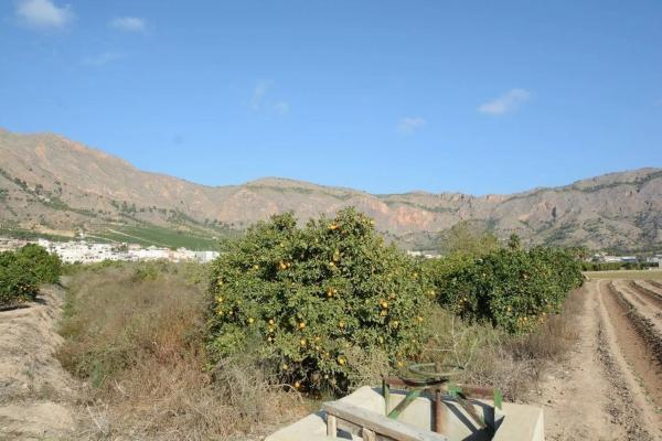 Terreno en Montepinar-La Aparecida-Raiguero