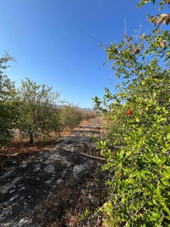 Terreno en 5x2q+7jj Las Siete Casas, 5 X2q+7jj Las Siete Casas