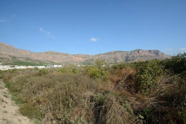 Terreno en Montepinar-La Aparecida-Raiguero