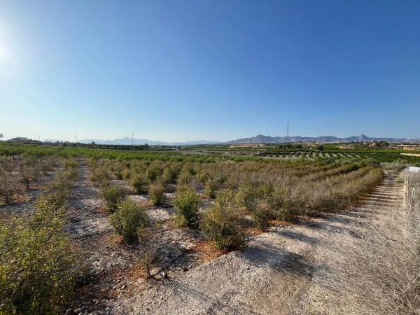 Terreno en 5x2q+7jj Las Siete Casas, 5 X2q+7jj Las Siete Casas