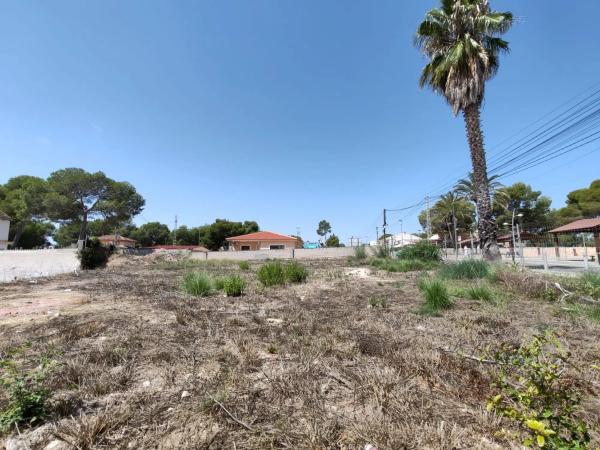 Terreno en avenida Pino del p C, 70