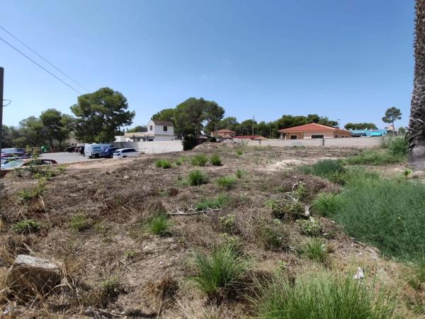 Terreno en avenida Pino del p C, 70