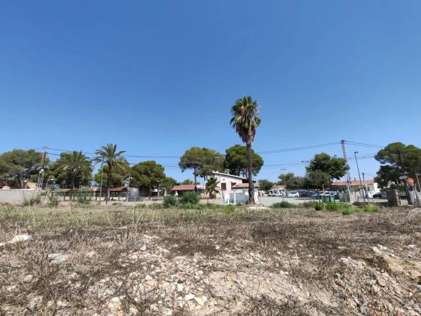 Terreno en avenida Pino del p C, 70