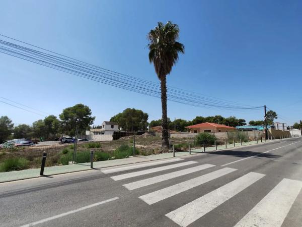 Terreno en avenida Pino del p C, 70