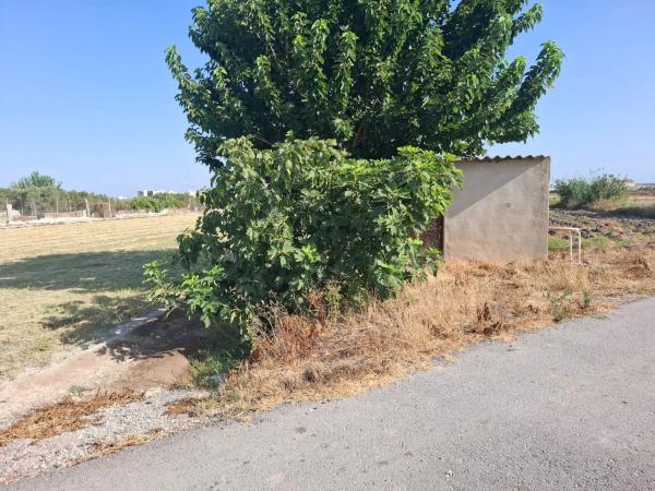 Terreno en Partida lo Saavedra