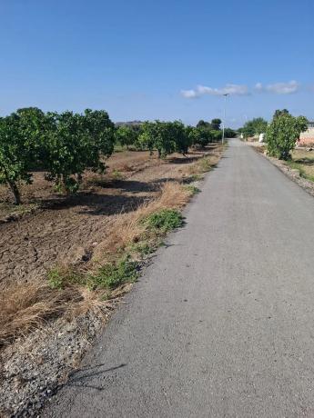 Terreno en Partida lo Saavedra