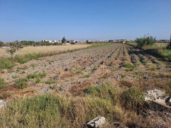Terreno en Partida lo Saavedra