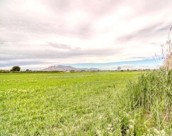 Terreno en Partida Estaciones