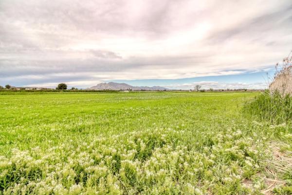 Terreno en Partida Estaciones