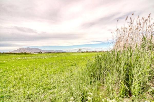 Terreno en Partida Estaciones