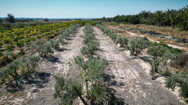 Terreno en Partida Derramador