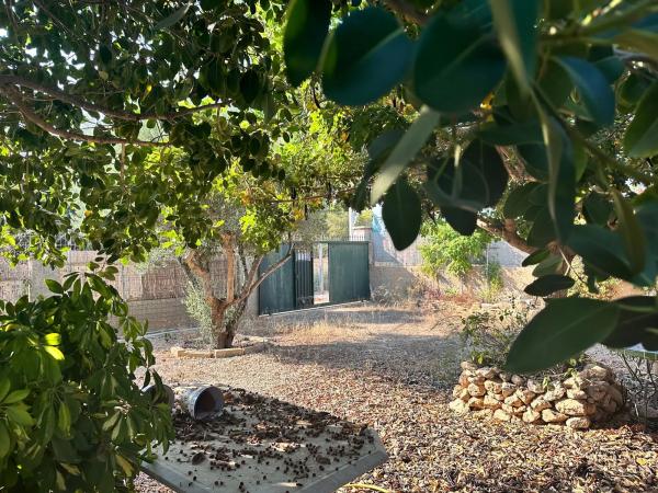 Terreno en El Altet - Balsares