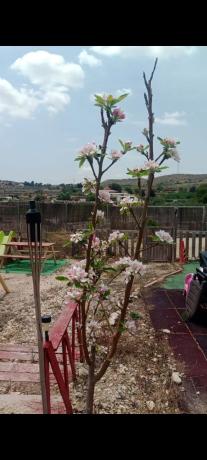 Terreno en Santa anna, 72