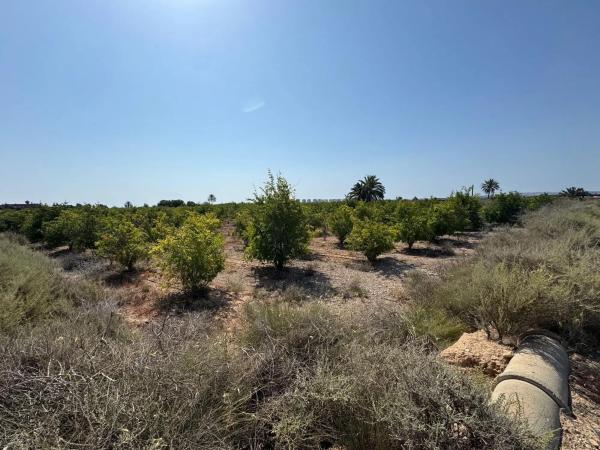 Terreno en camino Viejo de Alicante s/n