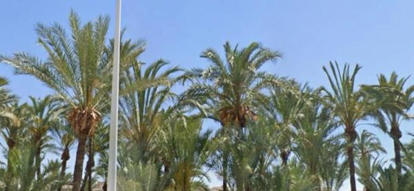 Terreno en calle Doctor Gregorio Marañón