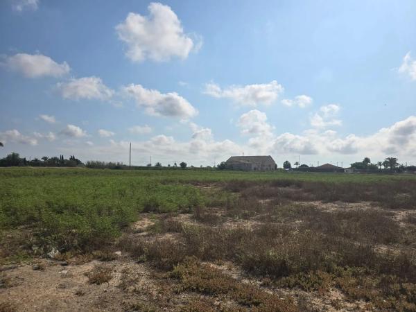 Terreno en camino de Pallús