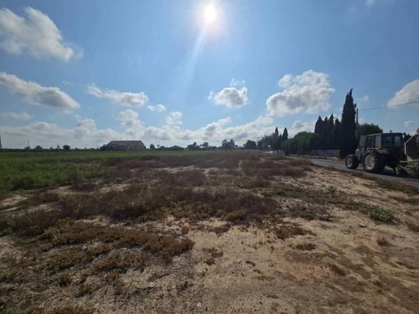 Terreno en camino de Pallús