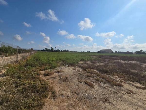 Terreno en camino de Pallús