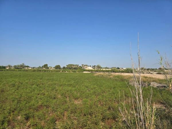 Terreno en camino de Pallús