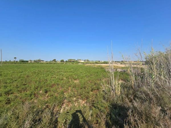 Terreno en camino de Pallús
