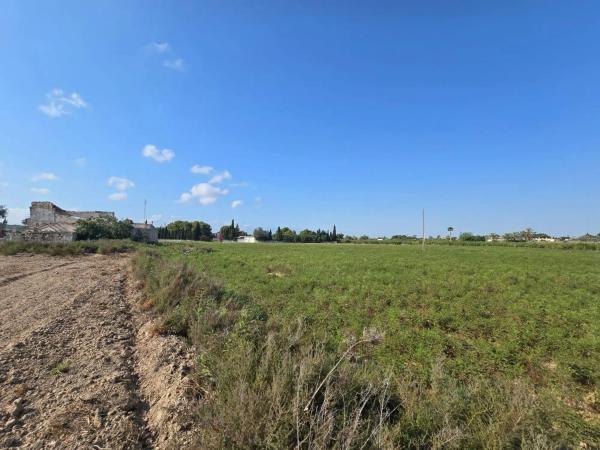 Terreno en camino de Pallús