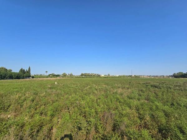 Terreno en camino de Pallús