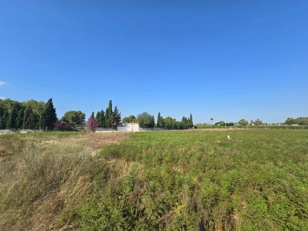 Terreno en camino de Pallús