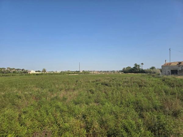 Terreno en camino de Pallús