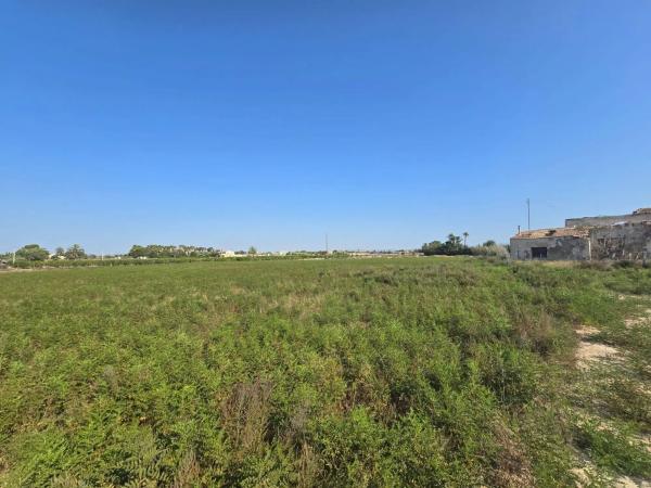 Terreno en camino de Pallús