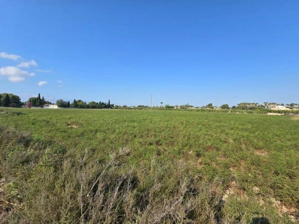 Terreno en camino de Pallús