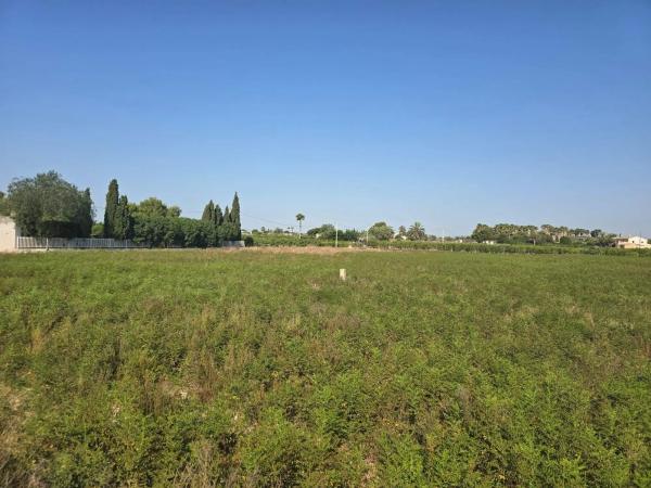 Terreno en camino de Pallús