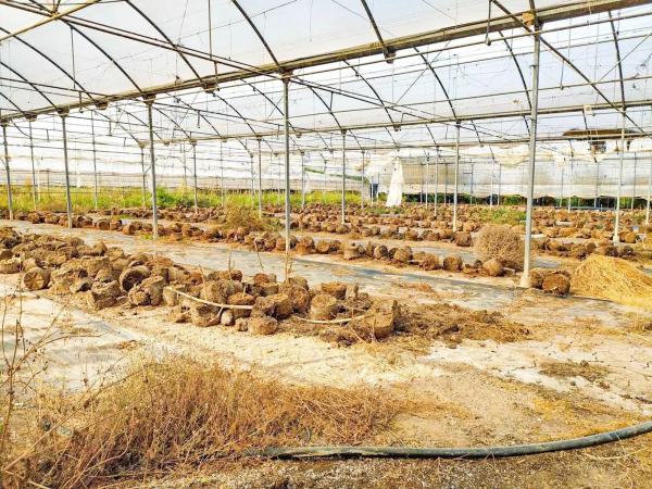 Terreno en avenida d'Elx